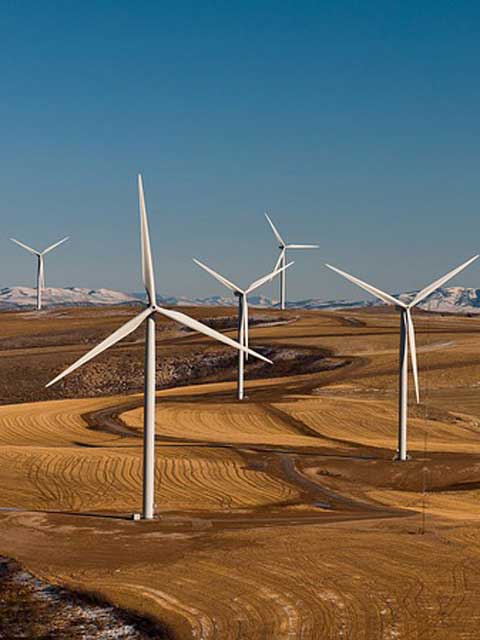 电话炸弹短信业务